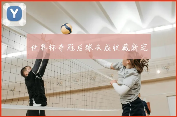 世界杯夺冠后球衣成收藏新宠