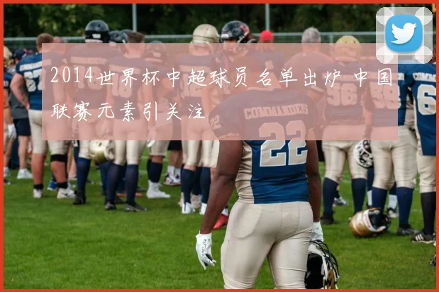 2014世界杯中超球员名单出炉 中国联赛元素引关注