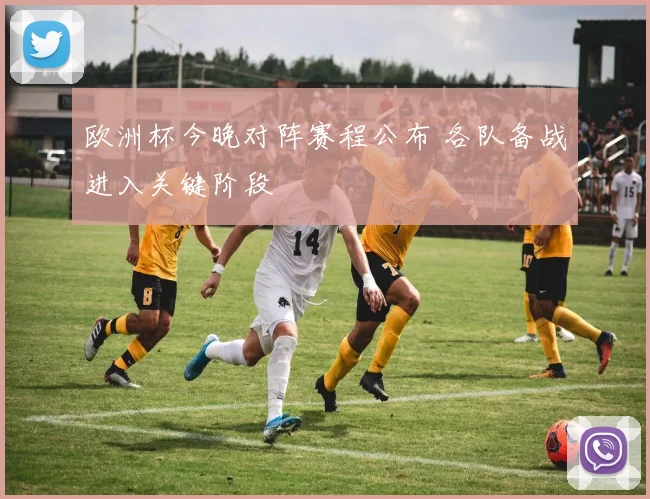 欧洲杯今晚对阵赛程公布 各队备战进入关键阶段