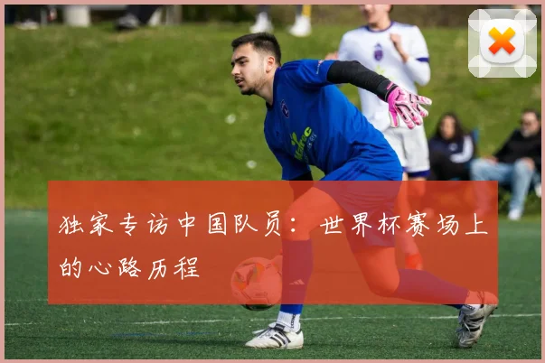 独家专访中国队员:世界杯赛场上的心路历程