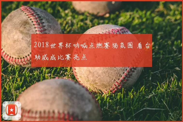 2018世界杯呐喊点燃赛场氛围 看台助威成比赛亮点
