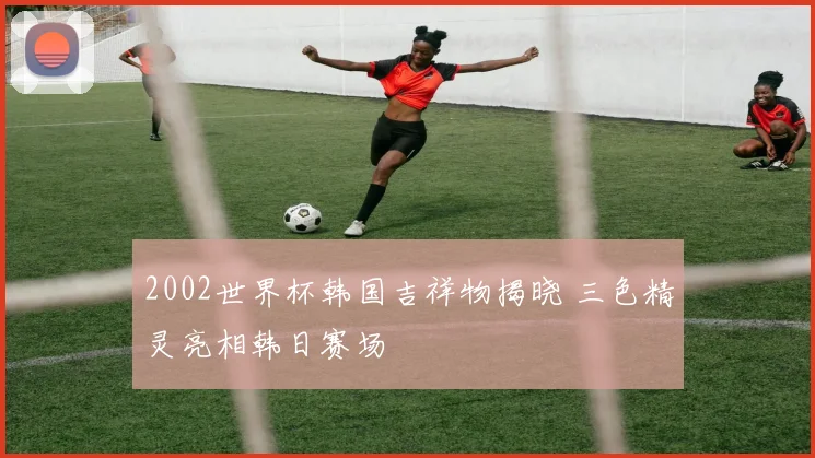 2002世界杯韩国吉祥物揭晓 三色精灵亮相韩日赛场