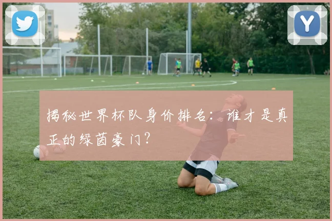 揭秘世界杯队身价排名：谁才是真正的绿茵豪门？