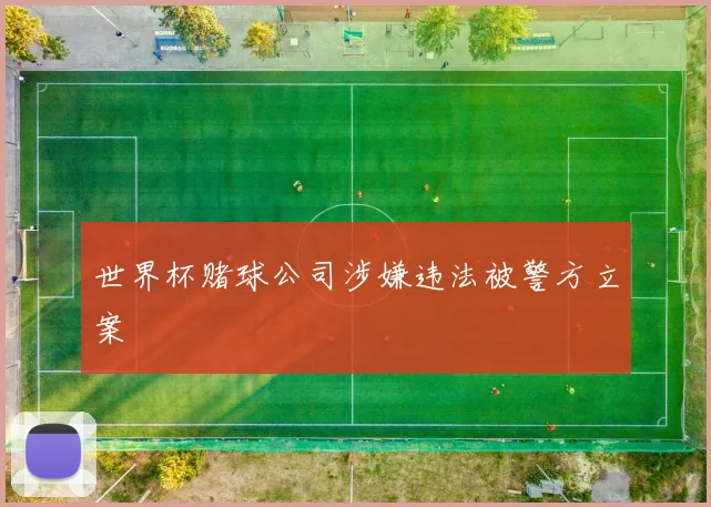 世界杯赌球公司涉嫌违法被警方立案